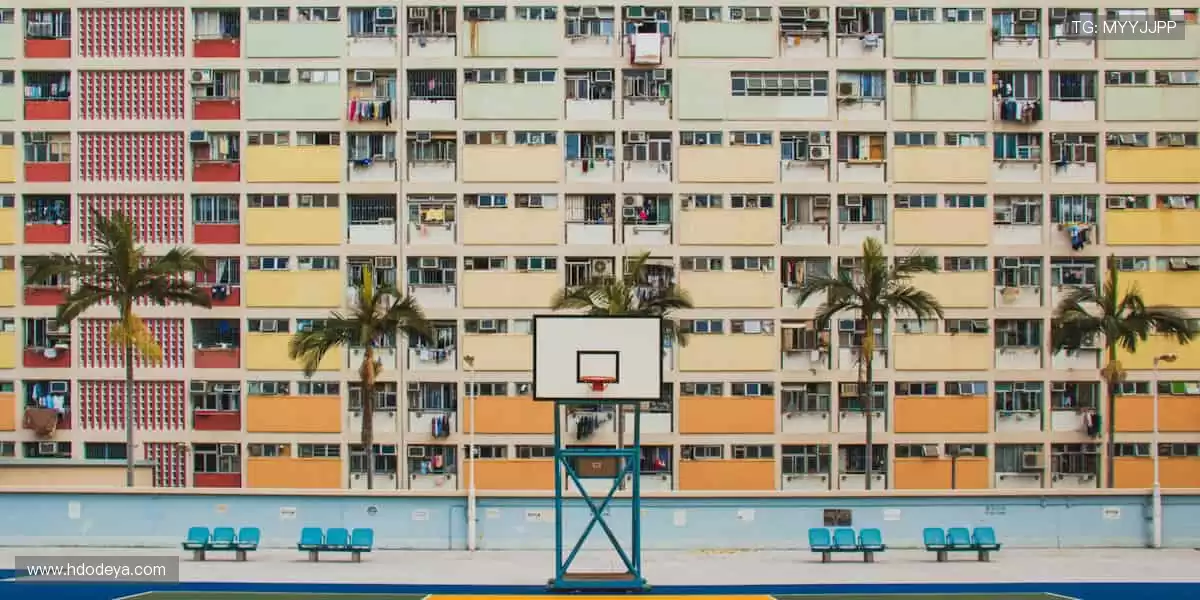 🎙️深度解读,冠军之路!🏆揭秘赛场背后的热血与汗水!